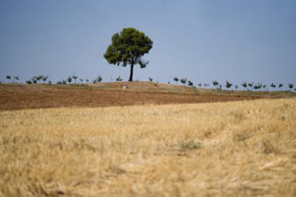 Córdoba: La revolución IA que transformará el campo