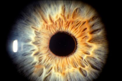Descubre cómo el MIT Media Lab desvela historias con la mirada