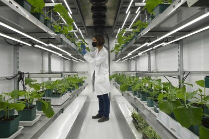 IA contra la sequía: ¿La solución definitiva?